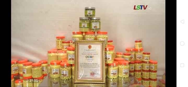Tinh bột nghệ hữu cơ Hồng Nhung