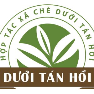 Chè dưới tán Hồi