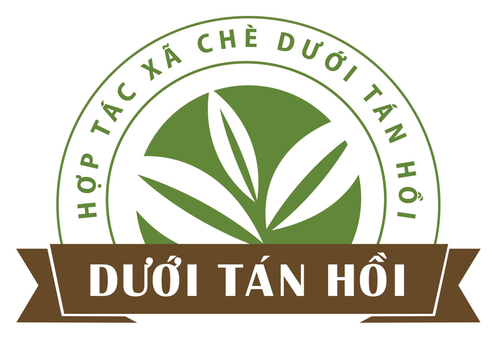 Chè dưới tán Hồi